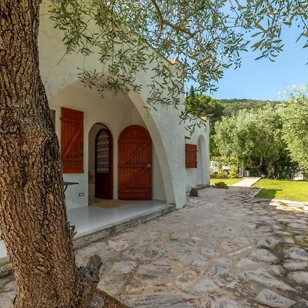 Olea - Goelba Bagnaia (Livorno)