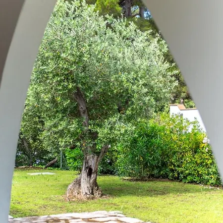 Olea - Goelba 아파트 *