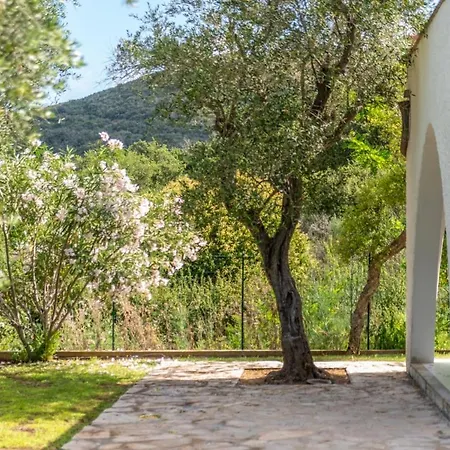 Olea - Goelba Bagnaia (Livorno)