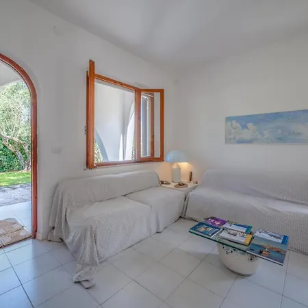 Olea - Goelba Bagnaia (Livorno)