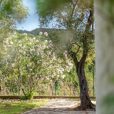Olea - Goelba 아파트